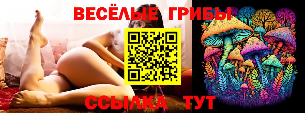 Псилоцибиновые грибы мухоморы  Вход с VPN  Галлюциногенные грибы прущие грибы  Ставрополь 